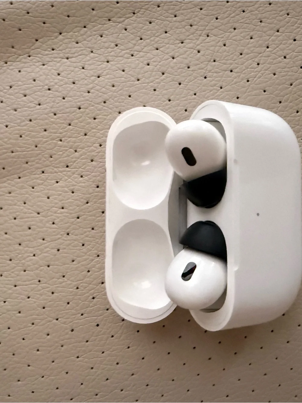AirPods Pro (Found, not original owner) but works perfectly